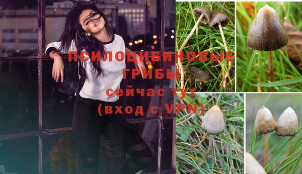 прущие крисы Балабаново